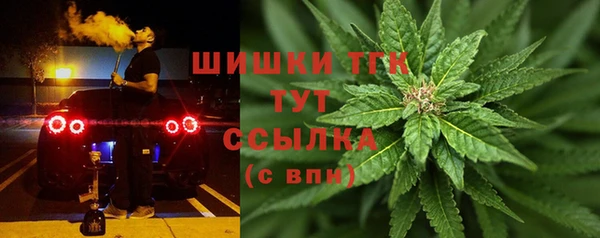 ГАЛЛЮЦИНОГЕННЫЕ ГРИБЫ Дмитровск