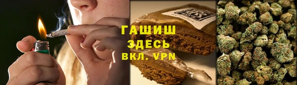 PSILOCYBIN Гусиноозёрск