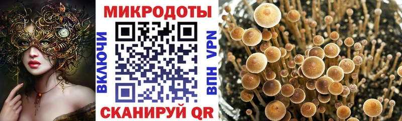 где продают наркотики  Дрезна  Псилоцибиновые грибы Cubensis 